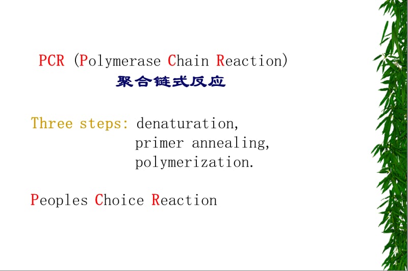 02-PCR技术原理及其应用-刘晓雪.ppt_第3页