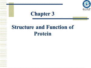第三章蛋白质的化学.ppt