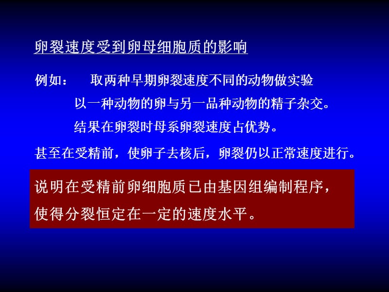 12-早期发育的机制.ppt_第3页