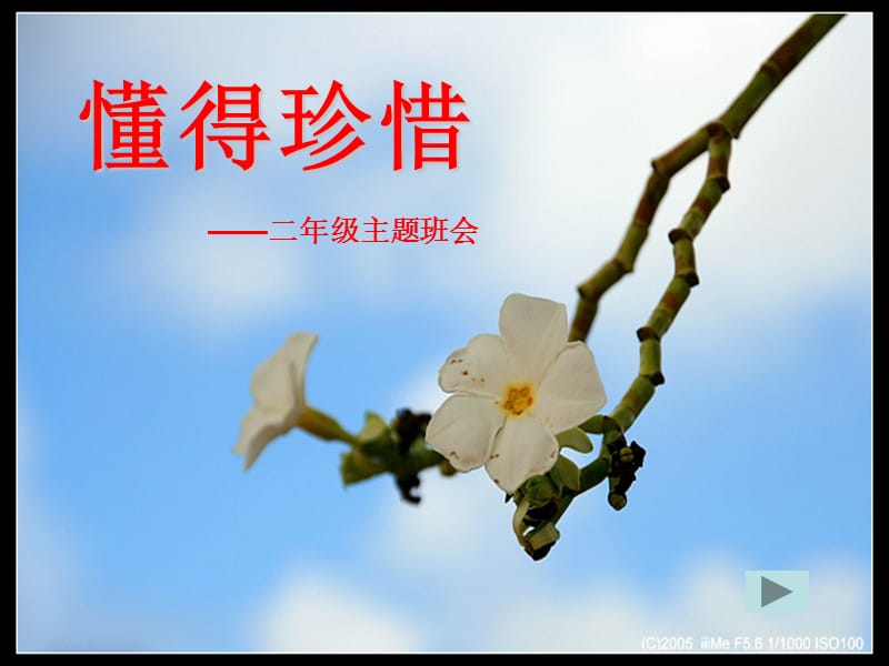 小学《懂得珍惜》主题班会精品课件.ppt_第1页