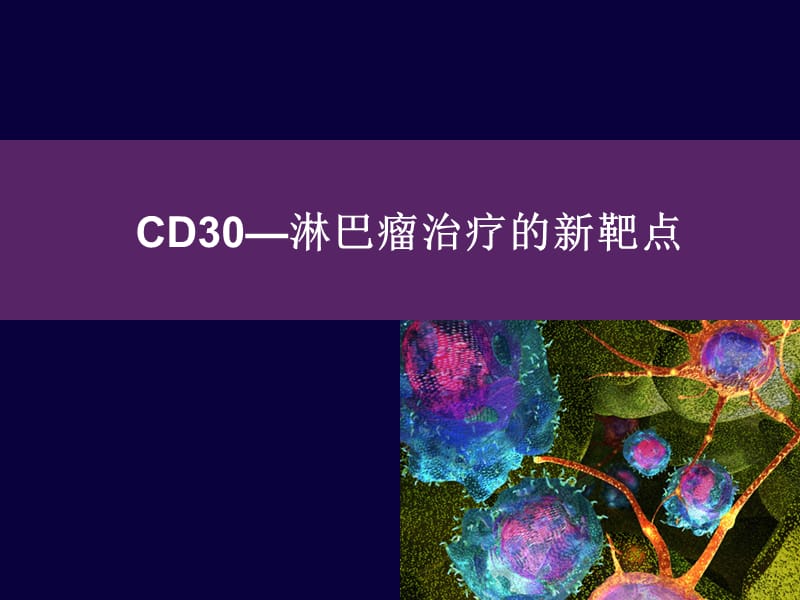 CD30_淋巴瘤治疗新靶点.ppt_第1页