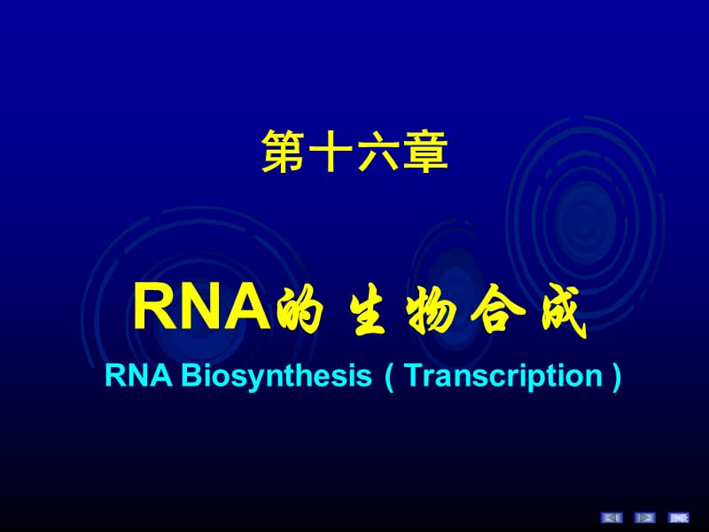 16RNA的生物合成.ppt_第2页
