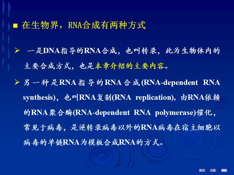 16RNA的生物合成.ppt_第3页