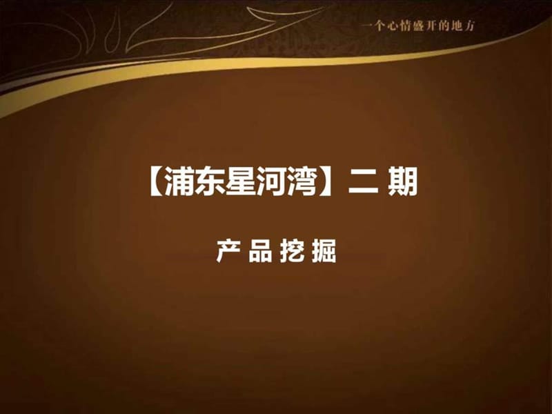 上海浦东星河湾二期产品挖掘.ppt.ppt_第1页