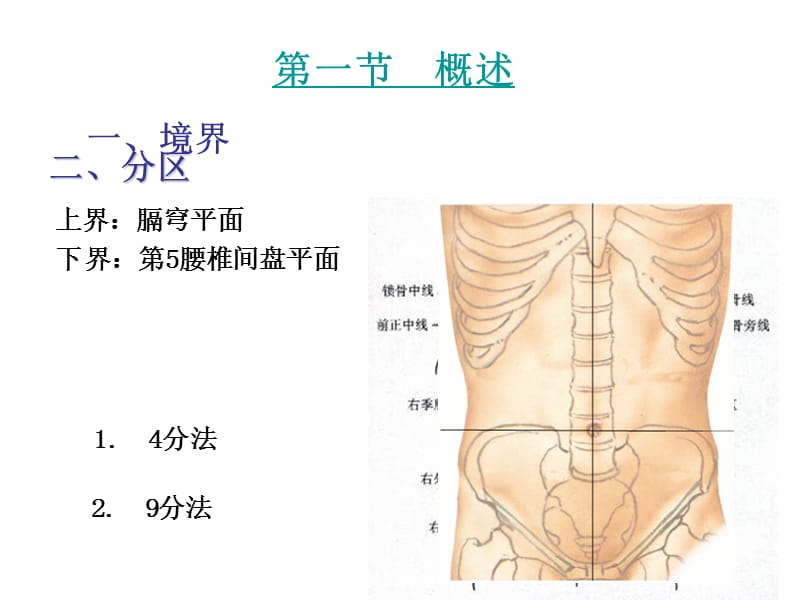 6腹部断面解剖与.ppt_第2页