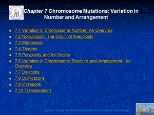 7ChromosomeMutationVariationinNumberandArrangement.ppt