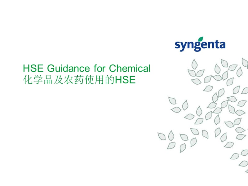 化学品及农药使用的HSE.ppt_第1页