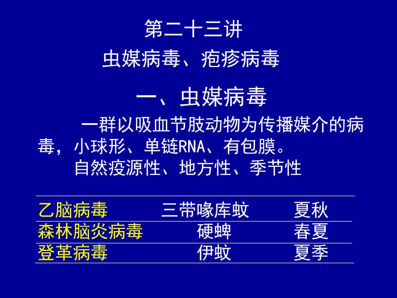 第虫媒病毒,疱疹病毒 ppt课件.ppt_第3页