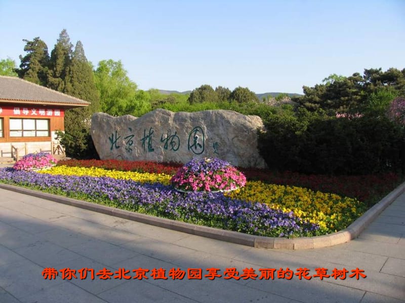 北京植物园-1.pps_第1页