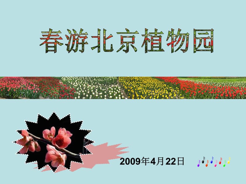 北京植物园-1.pps_第2页