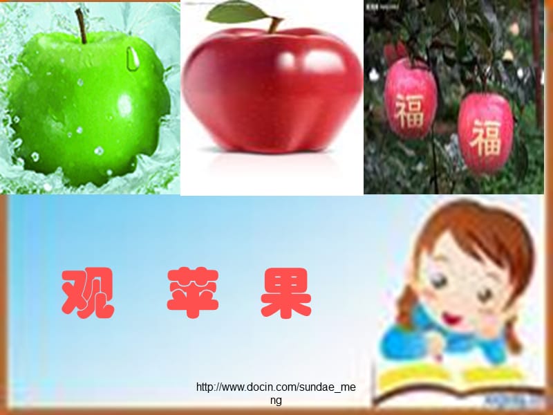 【小学课件】观苹果.ppt_第2页