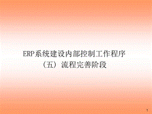 ERP系统内控工作程序-流程完善阶段.ppt