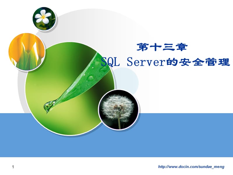 【大学课件】SQL Server的安全管理.ppt_第1页