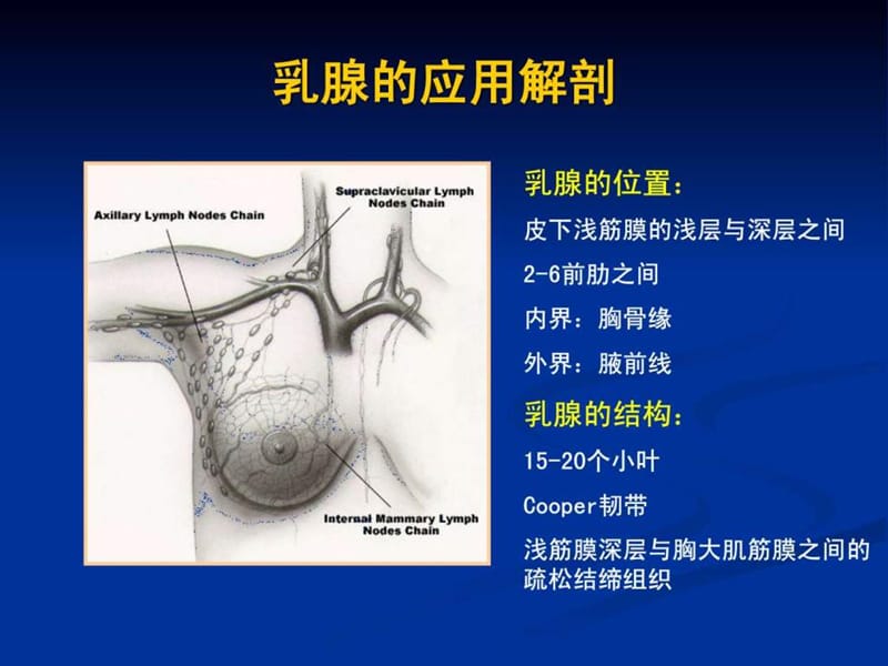 乳腺癌的放射治疗_图文.ppt.ppt_第2页