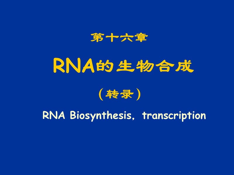 《生物化学教学课件》rna biosynthesis.ppt_第1页