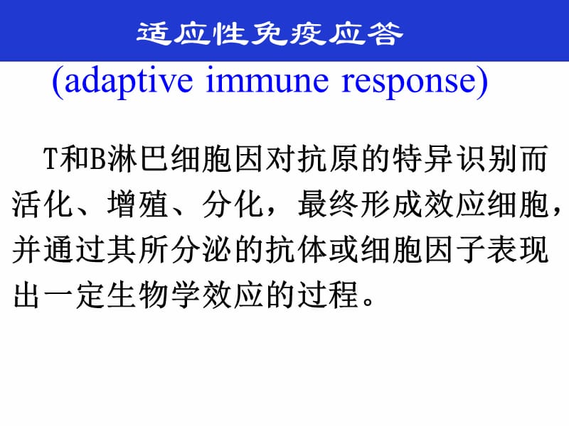 《医学免疫学教学资料》免疫应答讲义dh..ppt_第3页