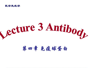 《医学免疫学教学课件》03 antibody.ppt