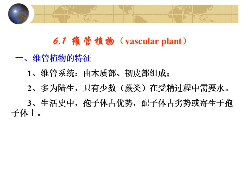 6 蕨类植物.ppt_第3页