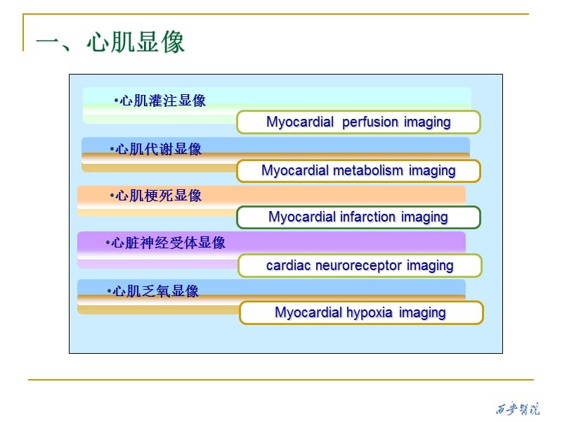 心血管系统显像.ppt_第3页