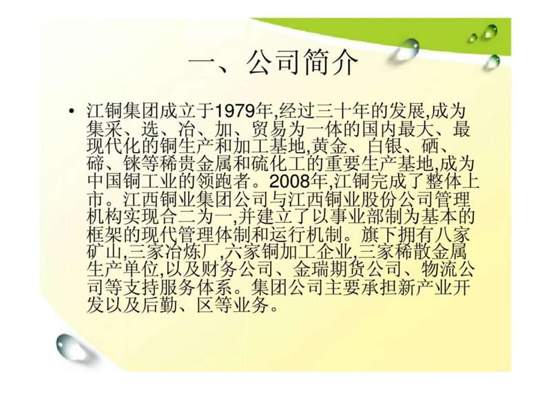zxy江西铜业集团筹资分析.ppt_第3页