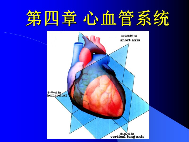 心血管系统核医学.ppt_第1页