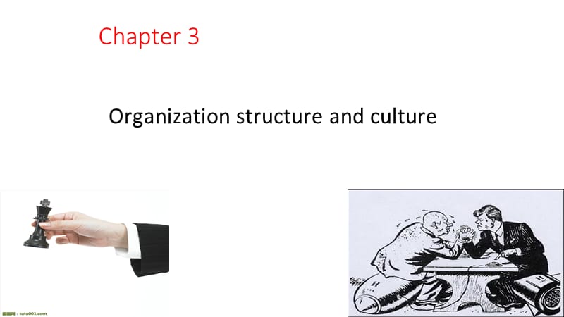暨南大学《项目管理》chapter 3 organization structure and culture.ppt_第2页