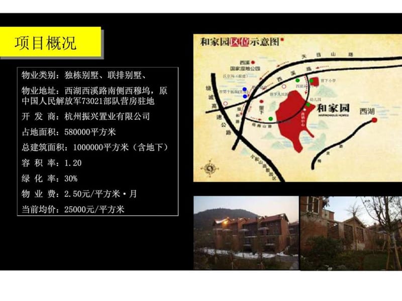 成全机构：沪杭别墅项目精彩个案分析报告.ppt_第3页
