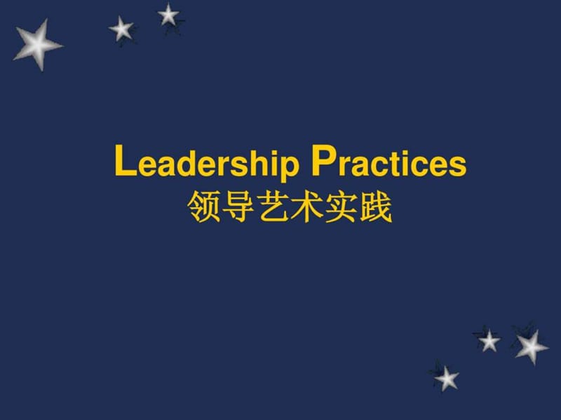 成功项目经理系列教程—领导艺术实践.ppt_第1页