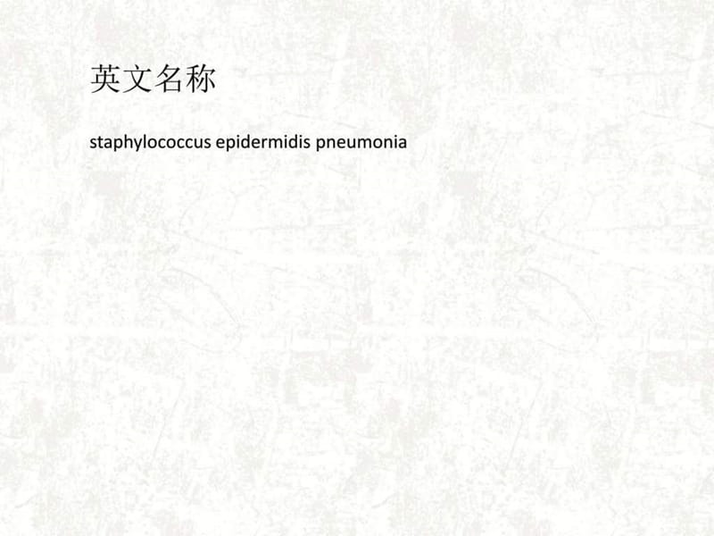 表皮葡萄球菌肺炎_图文.ppt.ppt_第2页