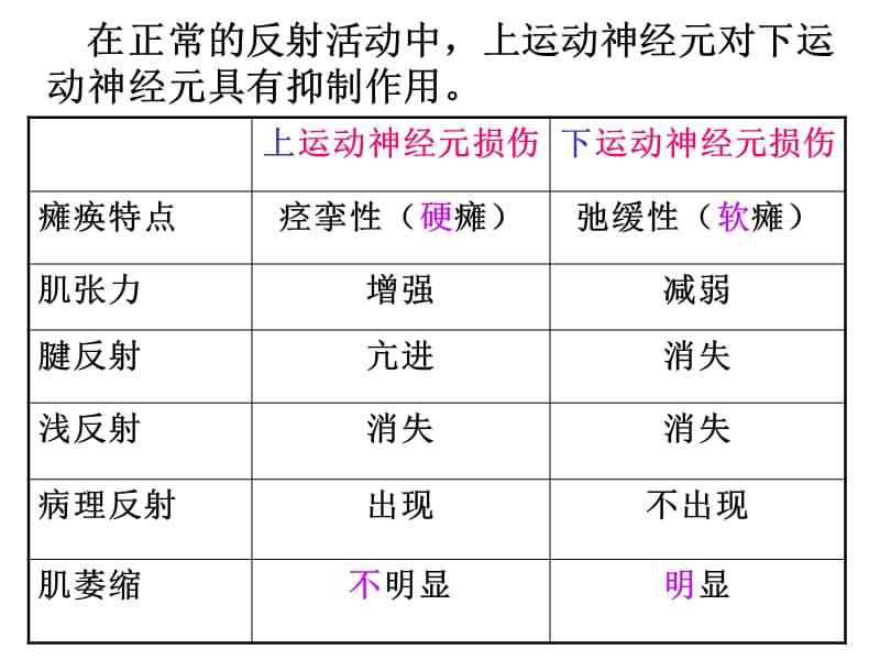 神经解剖学 06 运动传导通路.ppt_第1页