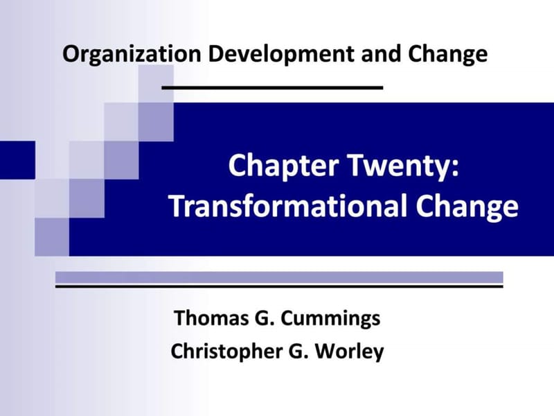 组织的变革与发展英文版第二十章.ppt_第1页