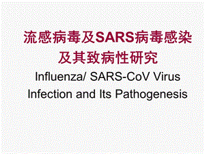 流感病毒与SARS病毒感染及其致病性研究专题讲座课件.ppt