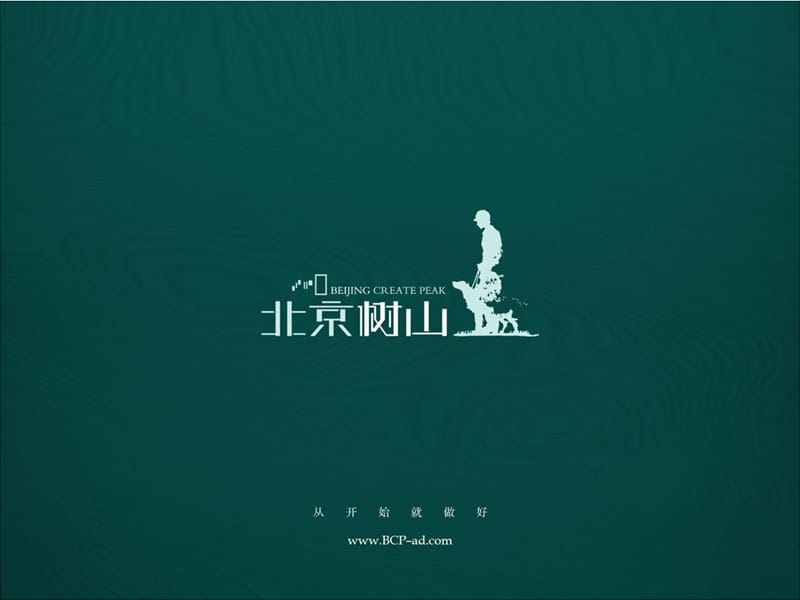 4A广告提案论坛-2008北京树山作品集.ppt_第2页
