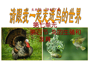 第一章 第四节 鸟的生殖和发育.ppt