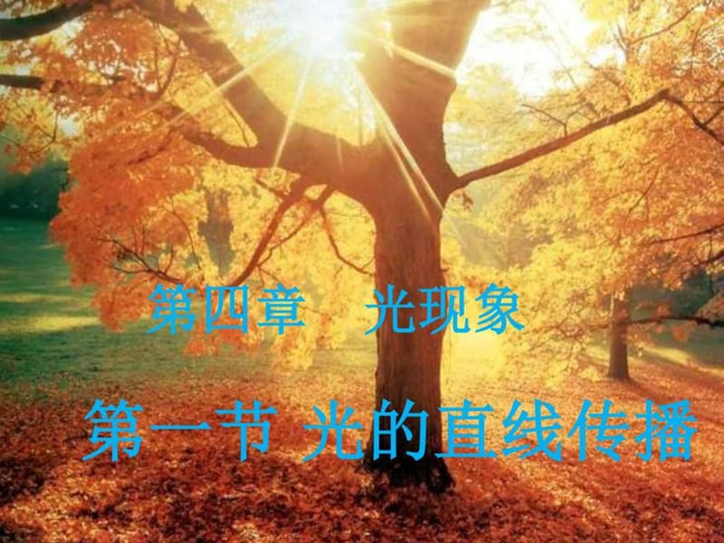 光的直线传播课件(物理).ppt_第1页