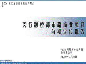 【上海同策】闵行颛桥都市路商业项目前期定位报告172P(一）.ppt