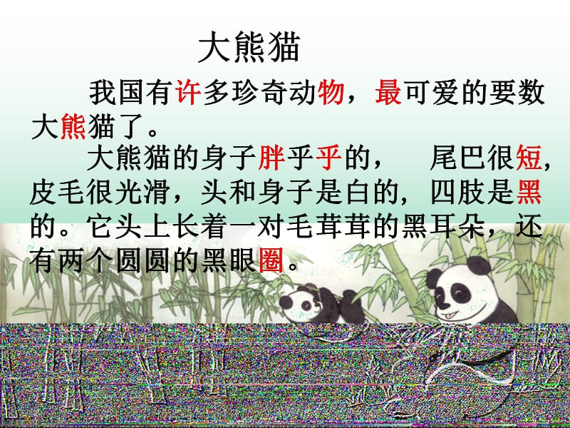 大熊猫6.ppt_第3页