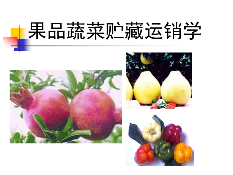 果品蔬菜贮藏运销学.ppt_第1页