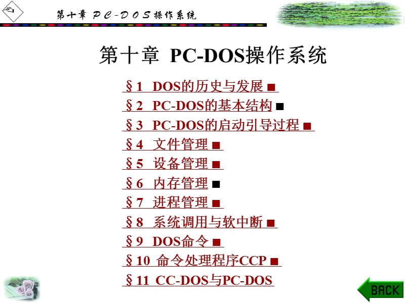 第十章PCDOS操作系统.ppt_第1页