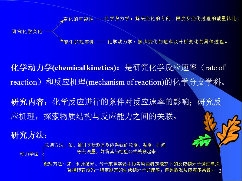 第十一章化学动力学.ppt_第2页