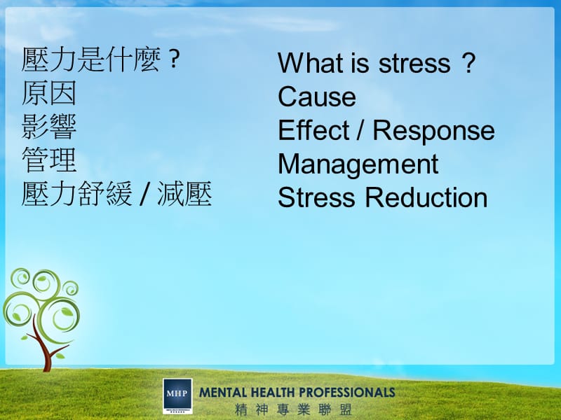 压力管理StressManagement.ppt_第2页