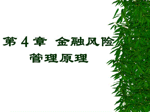 金融风险管理原理.ppt