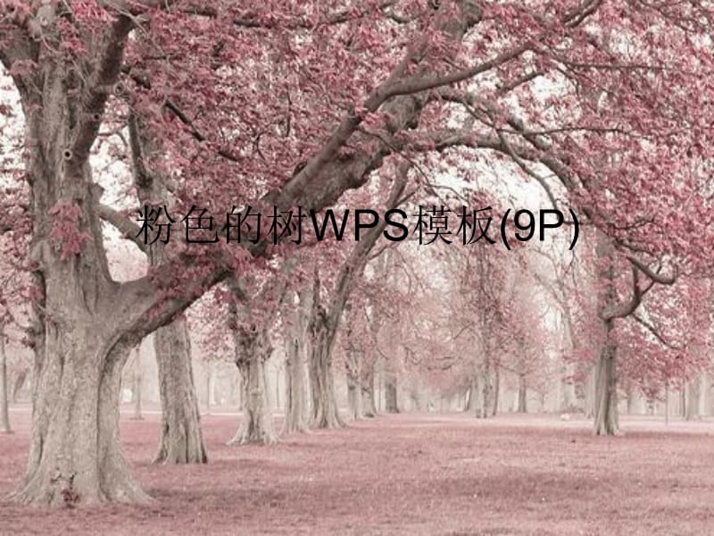 粉色的树WPS模板9P.ppt_第1页