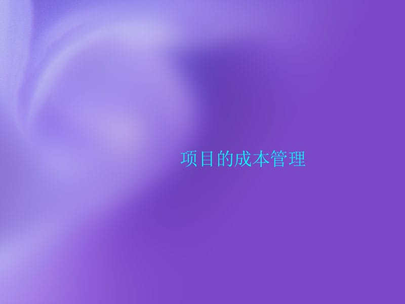 项目的成本管理.ppt_第1页