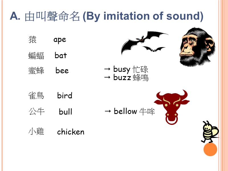 动植物英文名称的由来.ppt_第2页