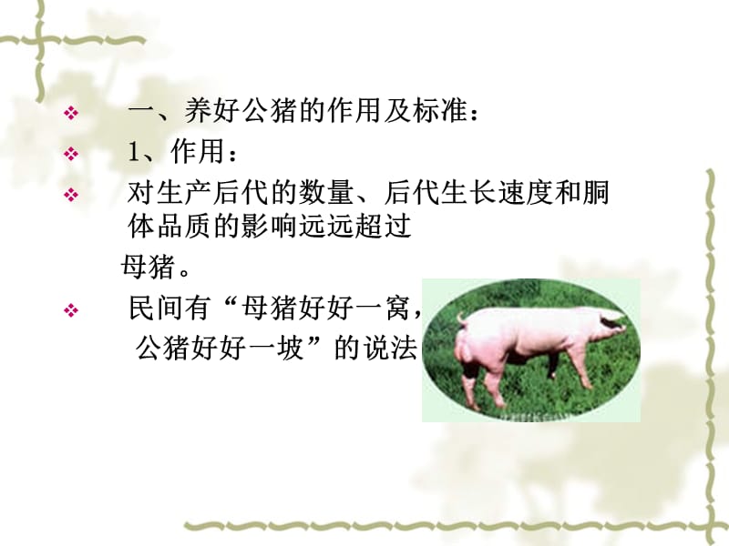 教学情境四种猪饲养管理单元二种公猪的饲养管理.ppt_第2页