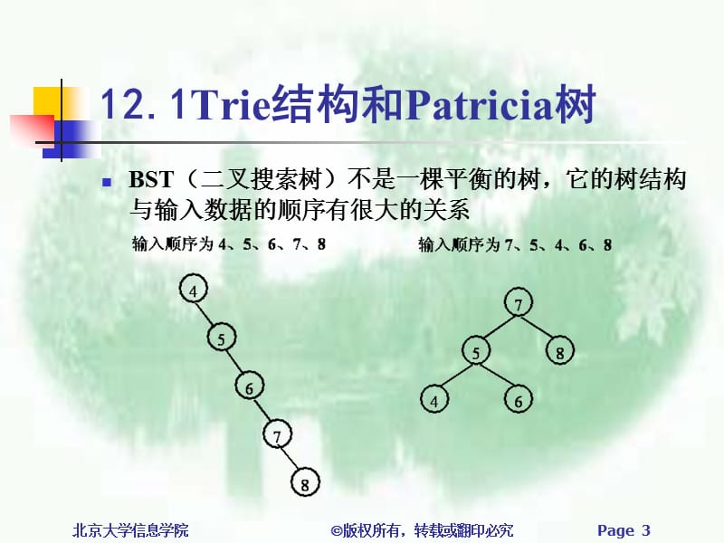 第十二部分高级树结构教学课件.ppt_第3页