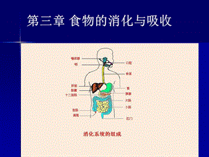 第三章食物的消化与吸收.ppt