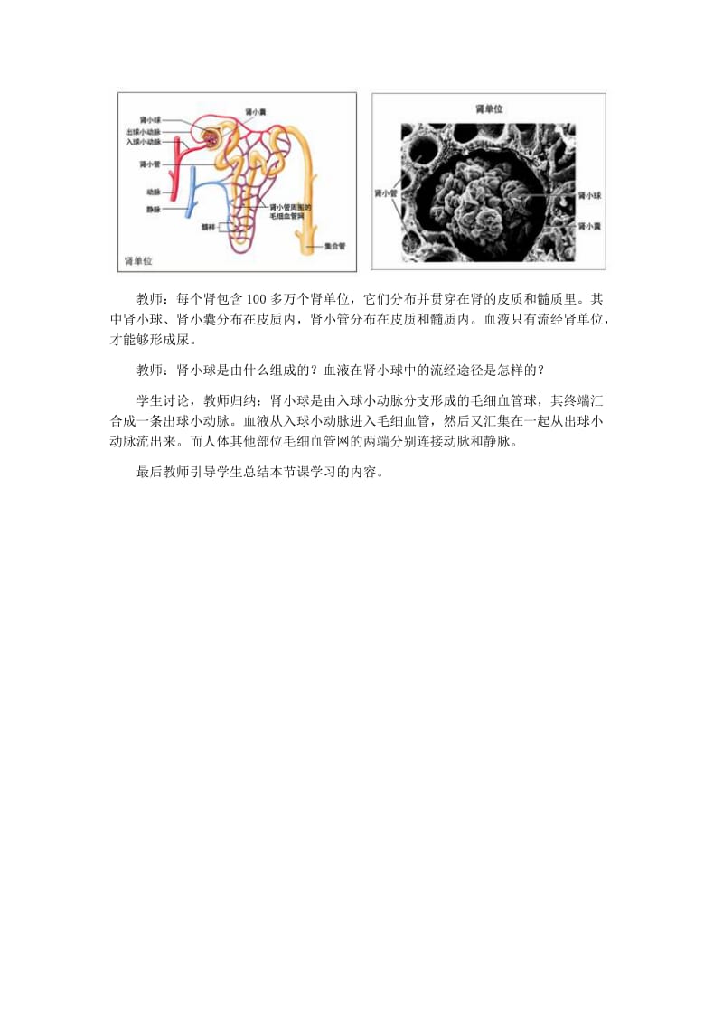 2019年苏教课标版七年级生物下册教案人体泌尿系统的组成精品教育.doc_第3页