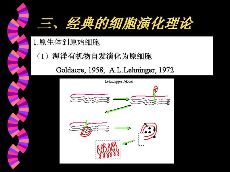 2019年进化生物学2章细胞的起源和演化精品教育.ppt_第3页